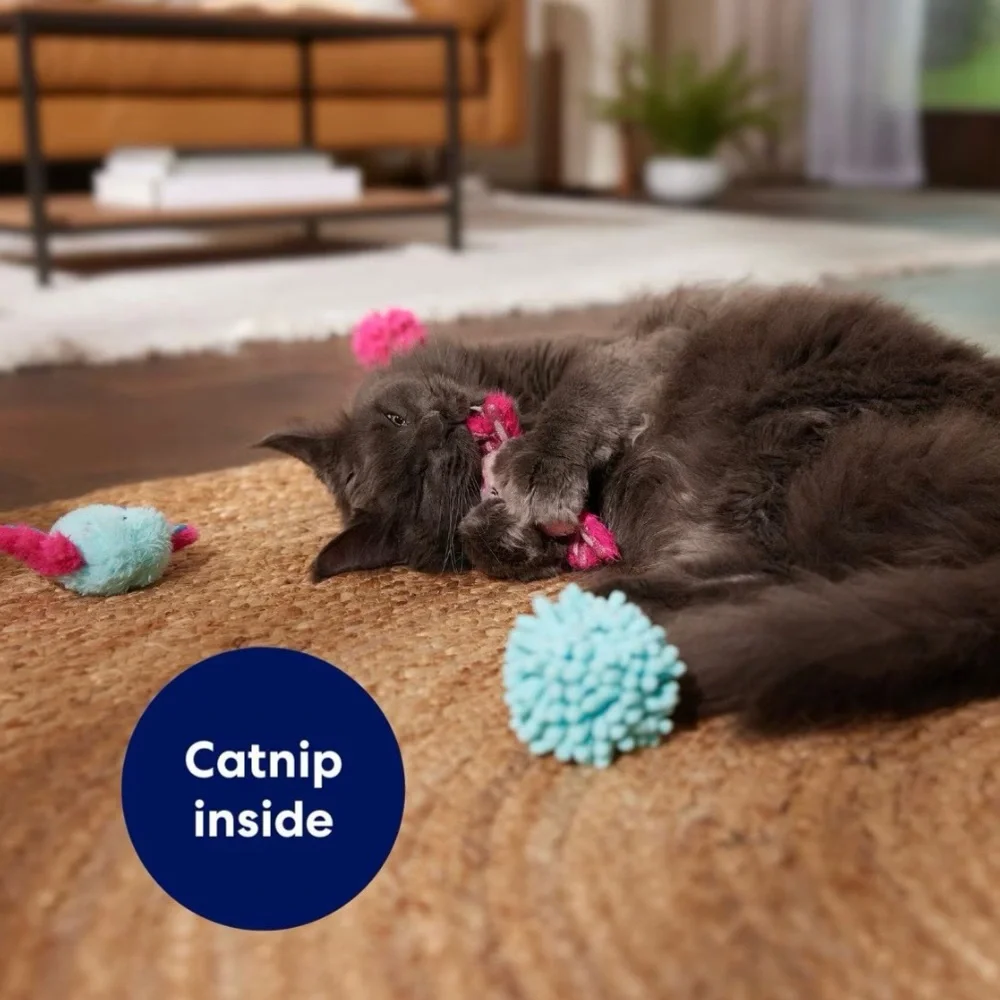 🆕 Frisco | Axolotl Variety Pack Cat Toy with Catnip, 4-Pack